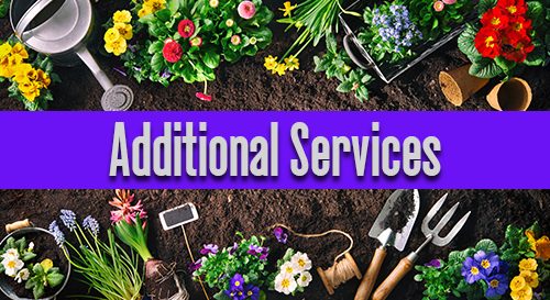 Additional Services