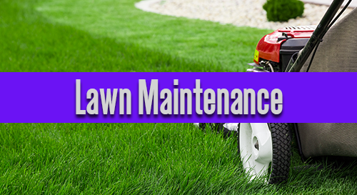 Lawn Maintenance